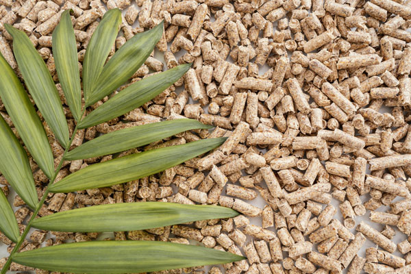 Nachhaltig - Alles wird verwertet Nachhaltig - Alles wirt verwertet