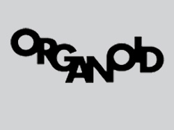 organoid